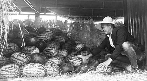 吃瓜群众岱岱删,网络红人的崛起之路  第2张