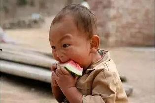 老小孩吃瓜,品味岁月,共享瓜香时光 第2张 老小孩吃瓜,品味岁月,共享瓜香时光 第2张