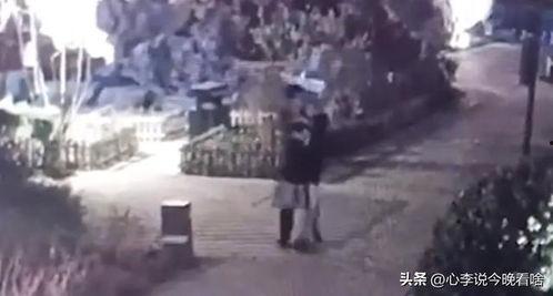 天津吃瓜事件视频 第2张 天津吃瓜事件视频 第2张