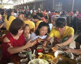 林州吃瓜排排坐,吃瓜排排坐,共享夏日清凉时光 第1张 林州吃瓜排排坐,吃瓜排排坐,共享夏日清凉时光 第1张