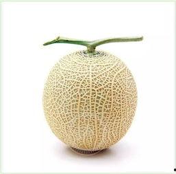 白羽吃瓜,揭秘娱乐圈幕后故事