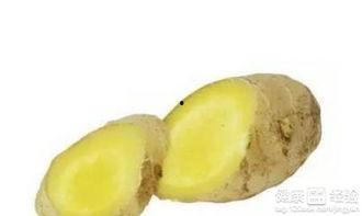 牙疼吃海蜜瓜,海蜜瓜来解忧 第3张 牙疼吃海蜜瓜,海蜜瓜来解忧 第3张