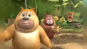 会吃瓜的熊,揭秘动物界的“美食评论家” 第1张 会吃瓜的熊,揭秘动物界的“美食评论家” 第1张