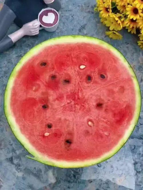 吃瓜神器自营,轻松享受美味瓜果的秘籍 第3张 吃瓜神器自营,轻松享受美味瓜果的秘籍 第3张