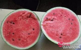 阴阳吃瓜的人,揭秘人生百态的趣味哲学 第3张 阴阳吃瓜的人,揭秘人生百态的趣味哲学 第3张