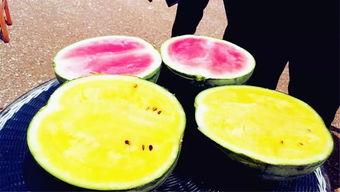 爆料吃瓜必吃大瓜图片高清,高清图片曝光，真相令人震惊！  第2张