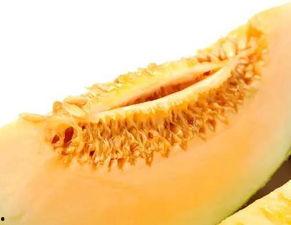 化疗可以吃蜜瓜吗,化疗期间蜜瓜食用指南