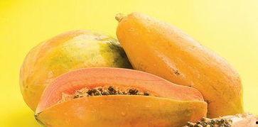 胃病患者可以吃蜜瓜吗,胃病患者适宜食用蜜瓜的探讨 第2张 胃病患者可以吃蜜瓜吗,胃病患者适宜食用蜜瓜的探讨 第2张