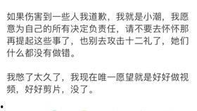 吃瓜开庭直播,庭审直播背后的法律盛宴 第2张 吃瓜开庭直播,庭审直播背后的法律盛宴 第2张