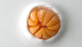 橘子吃瓜素材视频  第3张