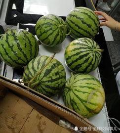 小红书吃瓜吃到同学,小红书吃瓜事件背后的真相  第3张