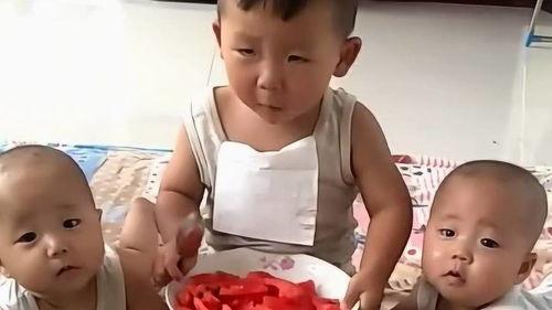 哥哥弟弟吃瓜,哥哥弟弟的吃瓜大冒险  第2张