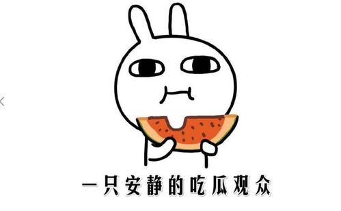 吃瓜到了啥意思,揭秘“吃瓜”背后的文化现象 第2张 吃瓜到了啥意思,揭秘“吃瓜”背后的文化现象 第2张