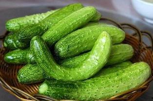 吃方瓜能吃黄瓜吗,能否共享餐桌的美食之谜 第2张 吃方瓜能吃黄瓜吗,能否共享餐桌的美食之谜 第2张