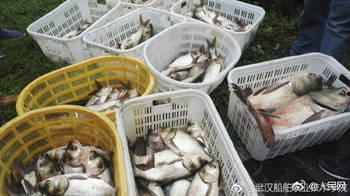 武汉高校免费吃瓜 第2张 武汉高校免费吃瓜 第2张