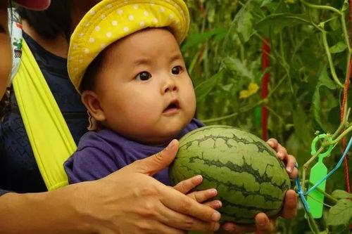 吃瓜黄泪 第3张 吃瓜黄泪 第3张