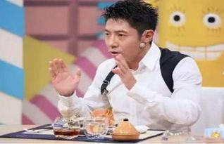 撒贝宁吃瓜群众,吃瓜群众的“瓜王”之路 第3张 撒贝宁吃瓜群众,吃瓜群众的“瓜王”之路 第3张