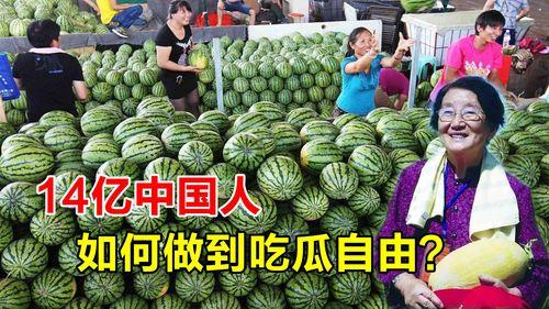 吃瓜来中国,探寻美食与文化的盛宴 第2张 吃瓜来中国,探寻美食与文化的盛宴 第2张