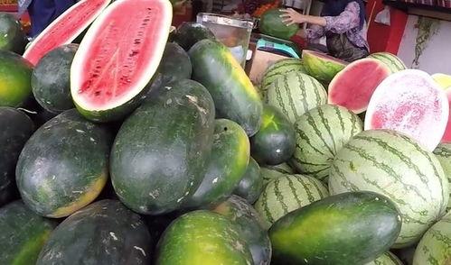 吃瓜来中国,探寻美食与文化的盛宴 第3张 吃瓜来中国,探寻美食与文化的盛宴 第3张