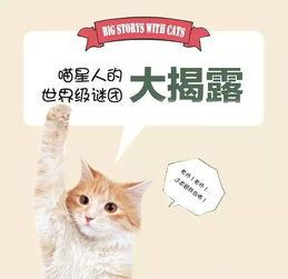 吃瓜猫咪特效视频,萌态百出,特效视频引网友爆笑 第3张 吃瓜猫咪特效视频,萌态百出,特效视频引网友爆笑 第3张