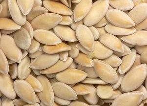 吃芝麻瓜的好处,营养丰富的健康美食佳选