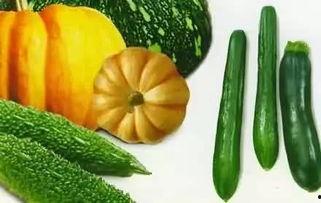 国风 吃瓜,吃瓜群众狂欢记  第2张