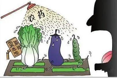 吃瓜 者被农药吃死了 第3张 吃瓜 者被农药吃死了 第3张