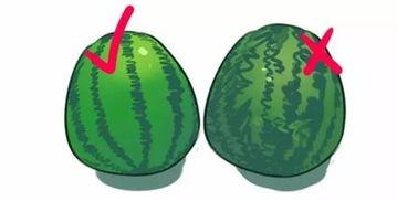 吃瓜小圈圈,网络舆论场中的趣味与真相 第2张 吃瓜小圈圈,网络舆论场中的趣味与真相 第2张