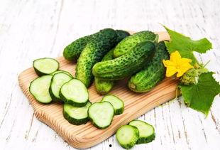 绿龙吃瓜的图片,夏日清凉一“瓜”  第3张