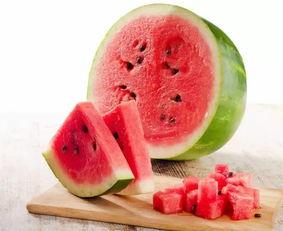 2025艺考吃瓜,揭秘娱乐圈新星的“吃瓜”之旅 第2张 2025艺考吃瓜,揭秘娱乐圈新星的“吃瓜”之旅 第2张