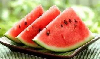 2025艺考吃瓜,揭秘娱乐圈新星的“吃瓜”之旅 第3张 2025艺考吃瓜,揭秘娱乐圈新星的“吃瓜”之旅 第3张