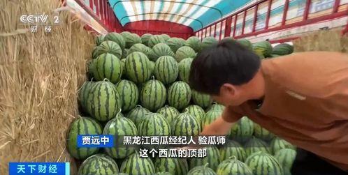 吃瓜无底洞,揭秘娱乐圈背后的秘密与真相