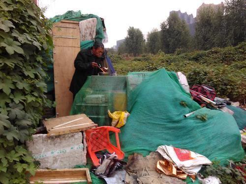 捡破烂的吃瓜大军,吃瓜群众的另类生活画卷 第1张 捡破烂的吃瓜大军,吃瓜群众的另类生活画卷 第1张