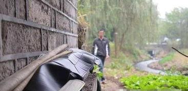 捡破烂的吃瓜大军,吃瓜群众的另类生活画卷 第3张 捡破烂的吃瓜大军,吃瓜群众的另类生活画卷 第3张