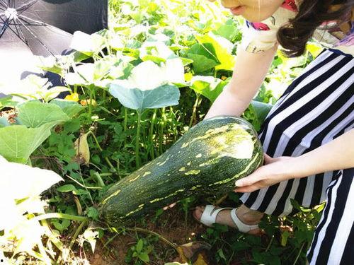 四姨子吃瓜原版,揭秘娱乐圈背后的八卦风云  第1张