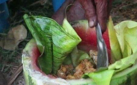 88岁老人吃红瓜,揭秘长寿之道 第2张 88岁老人吃红瓜,揭秘长寿之道 第2张