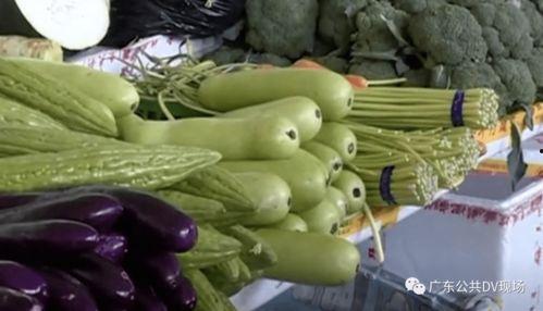 农村吃瓜中毒,食品安全不容忽视