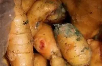 农村吃瓜中毒,食品安全不容忽视  第3张