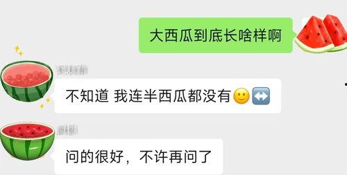 现在吃瓜怎么搜索,搜索背后的趣味与现象