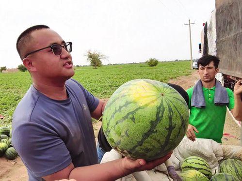安欣吃瓜,揭秘娱乐圈背后的秘密与真相  第2张