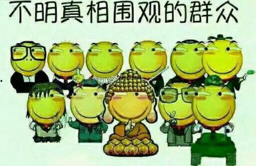 吃瓜群众ppt免费,PPT中的趣味与智慧  第2张