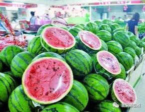 瓜地吃西瓜文章,一场夏日里的甜蜜冒险  第2张