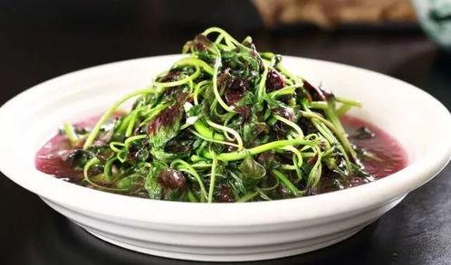 苋菜与角瓜能一起吃吗,苋菜与角瓜的搭配食用指南  第2张