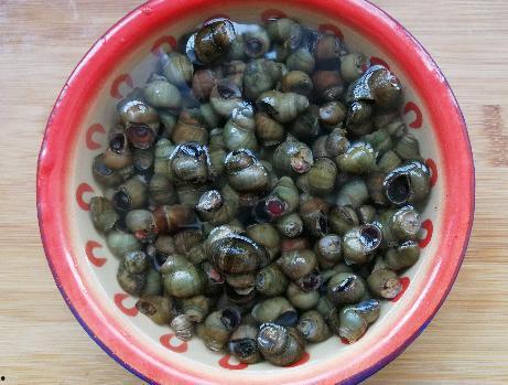 吃个田螺吃银瓜  第2张