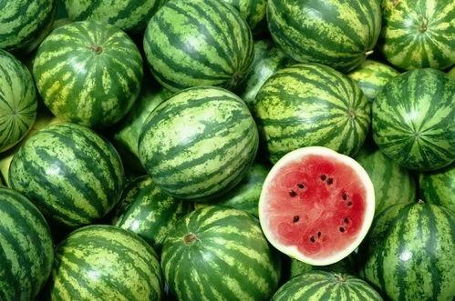 哪里可以吃中伦熊川的瓜,探寻中伦熊川瓜果飘香之地