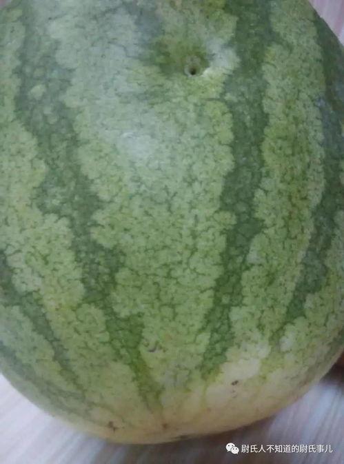 吃瓜本瓜网友  第3张