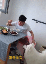 狗狗吃瓜掉下楼