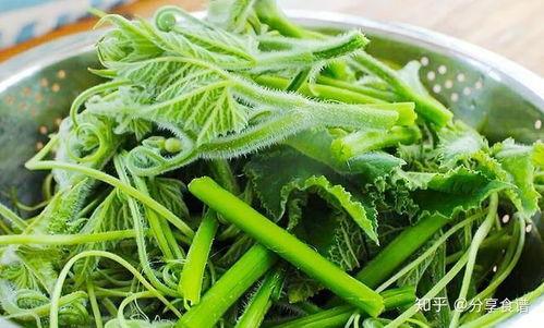 兰瓜尖怎样吃  第3张