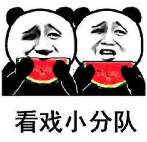 躺着吃瓜表情包  第2张