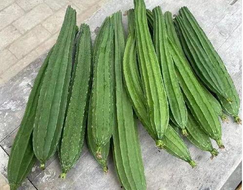 吃的绿色的瓜,探寻夏日清新美食之旅  第1张